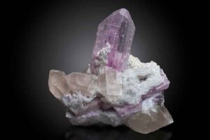 Collector's Edge Superb minerals for sale